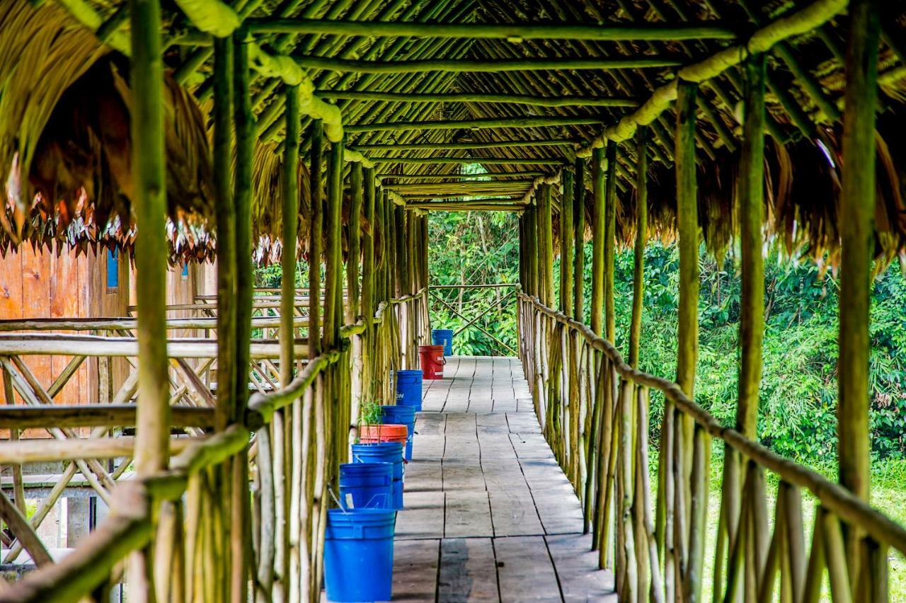 Amazon Muyuna Lodge Paraíso المظهر الخارجي الصورة
