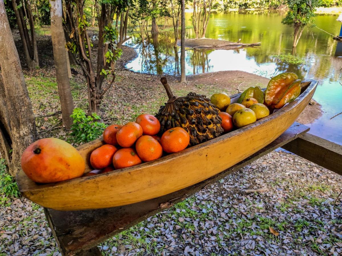 Amazon Muyuna Lodge Paraíso المظهر الخارجي الصورة