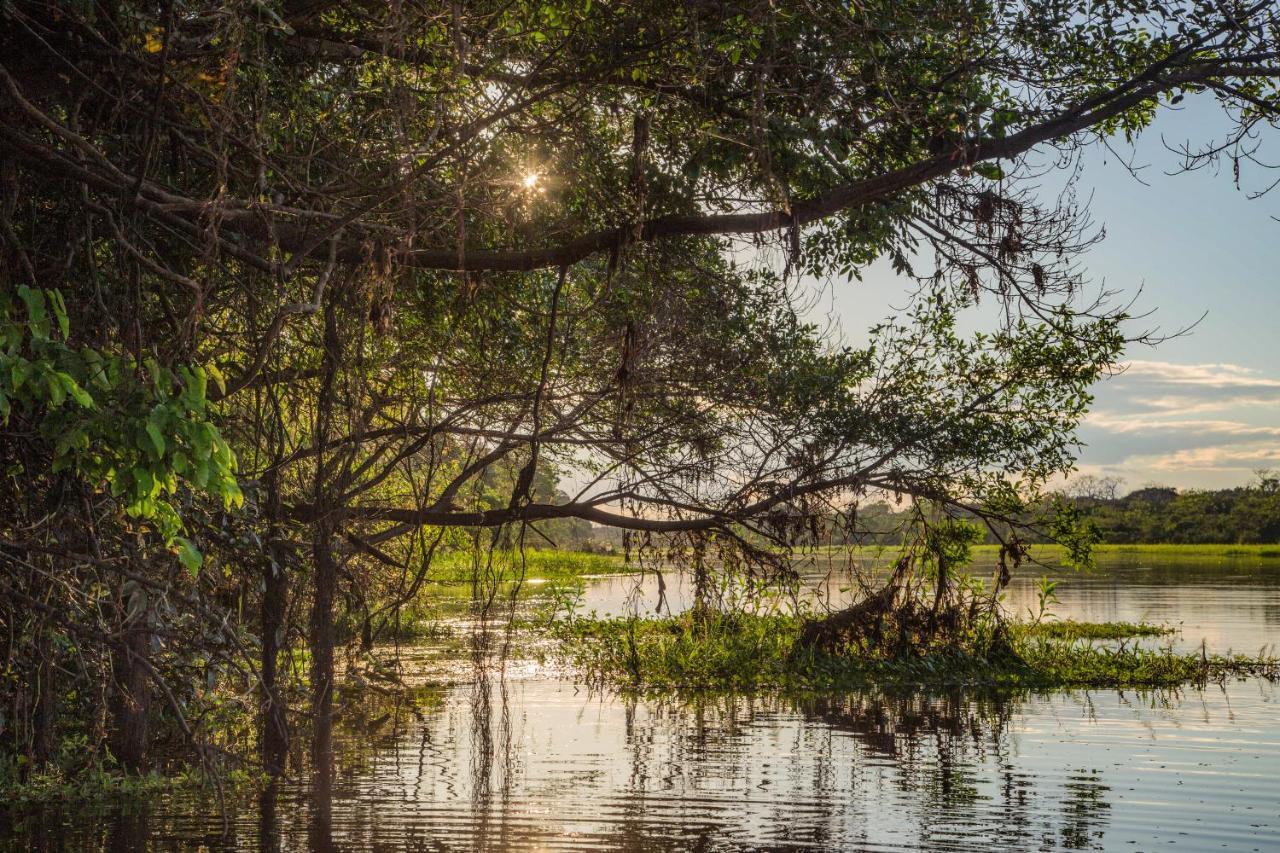 Amazon Muyuna Lodge Paraíso المظهر الخارجي الصورة