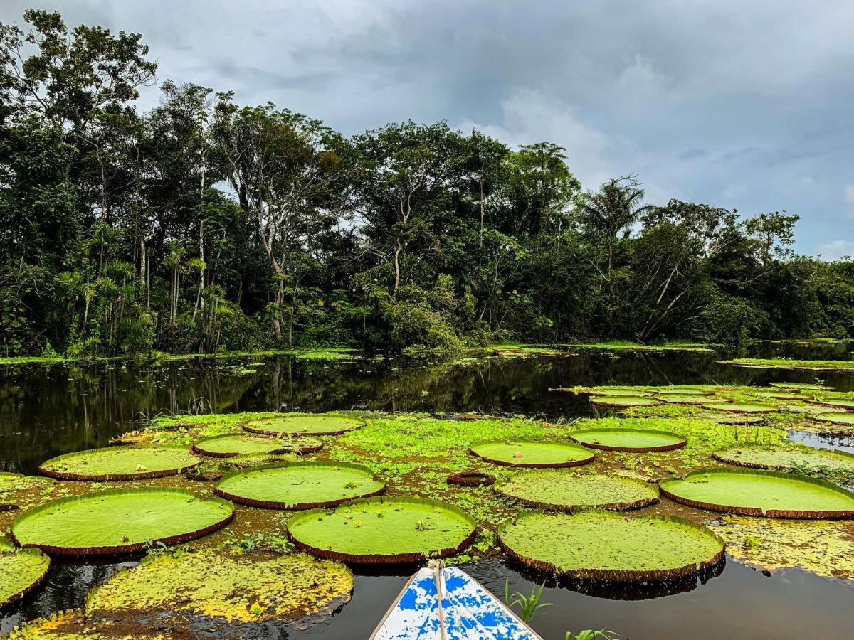 Amazon Muyuna Lodge Paraíso المظهر الخارجي الصورة